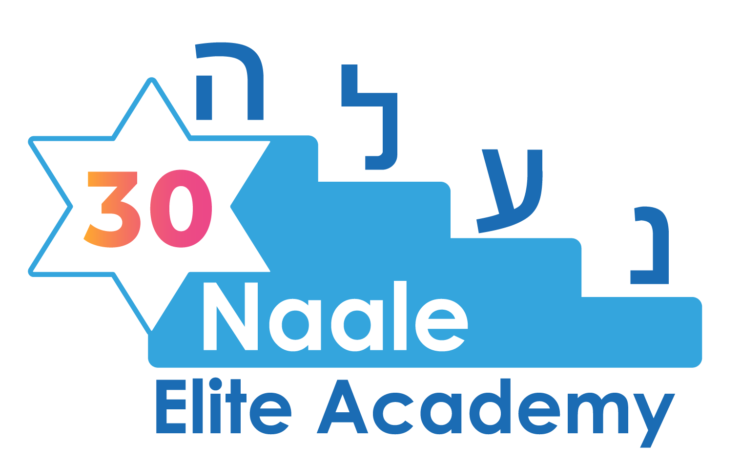Naale logo transparent